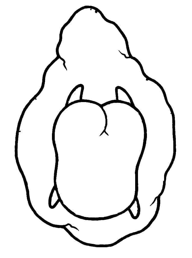 Fise de colorat cu Sanrio de colorat p21