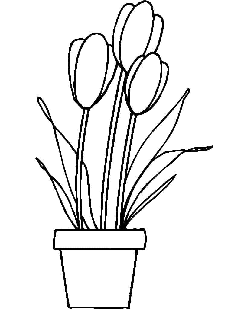 Fise de colorat cu Vaza cu Flori de colorat p09