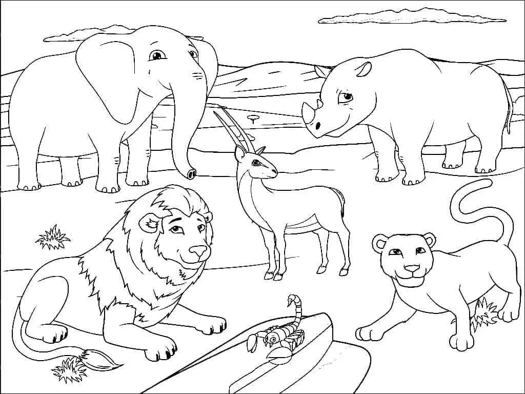 Fise de colorat cu Animale Salbatice de colorat p08