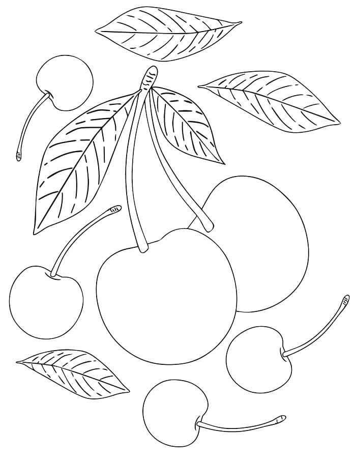 Fise de colorat cu Cirese de colorat p28
