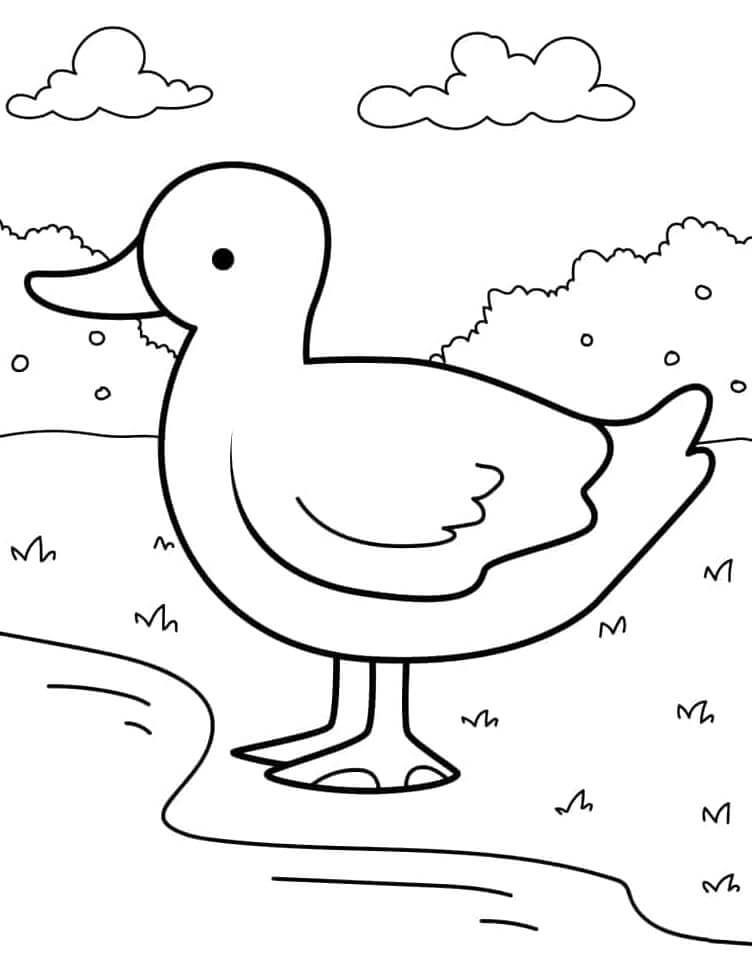 Fise de colorat cu Ferme de colorat p04