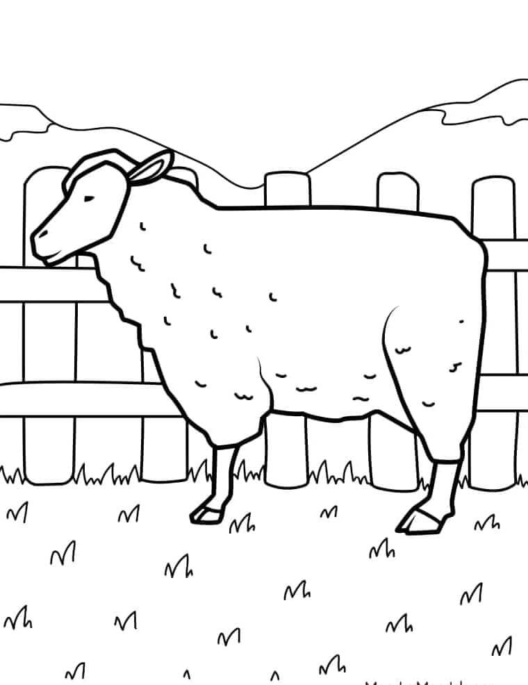 Fise de colorat cu Ferme de colorat p05