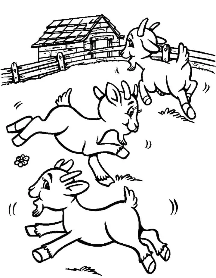 Fise de colorat cu Ferme de colorat p26