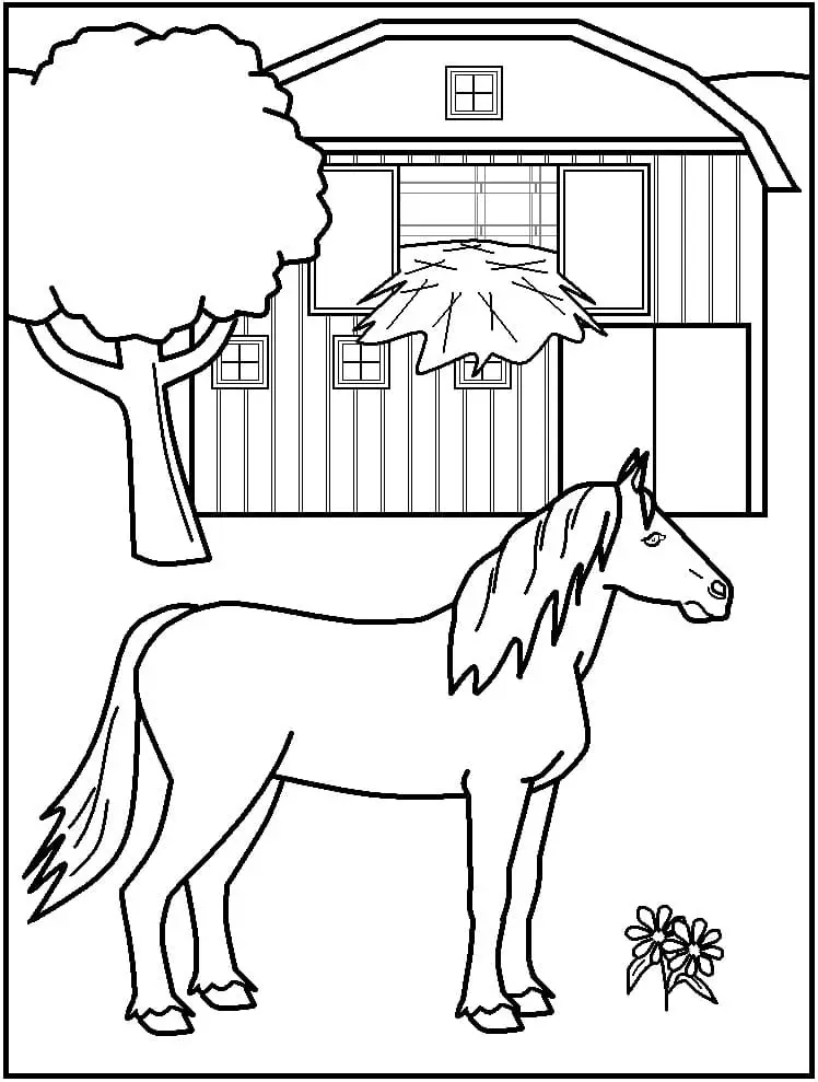 Fise de colorat cu Ferme de colorat p27