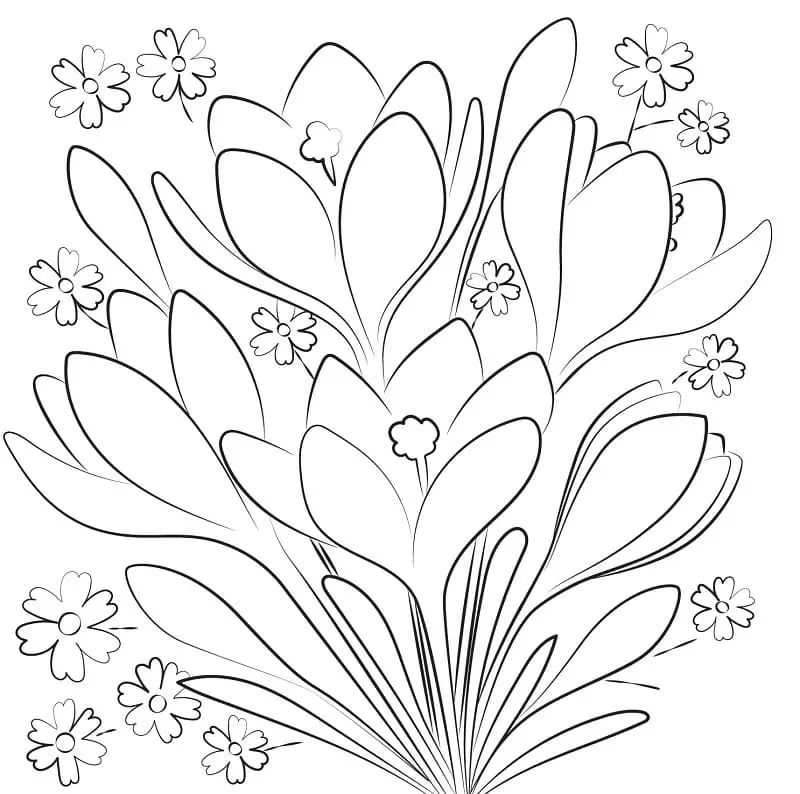 Fise de colorat cu Flori Ghiocei de colorat p02