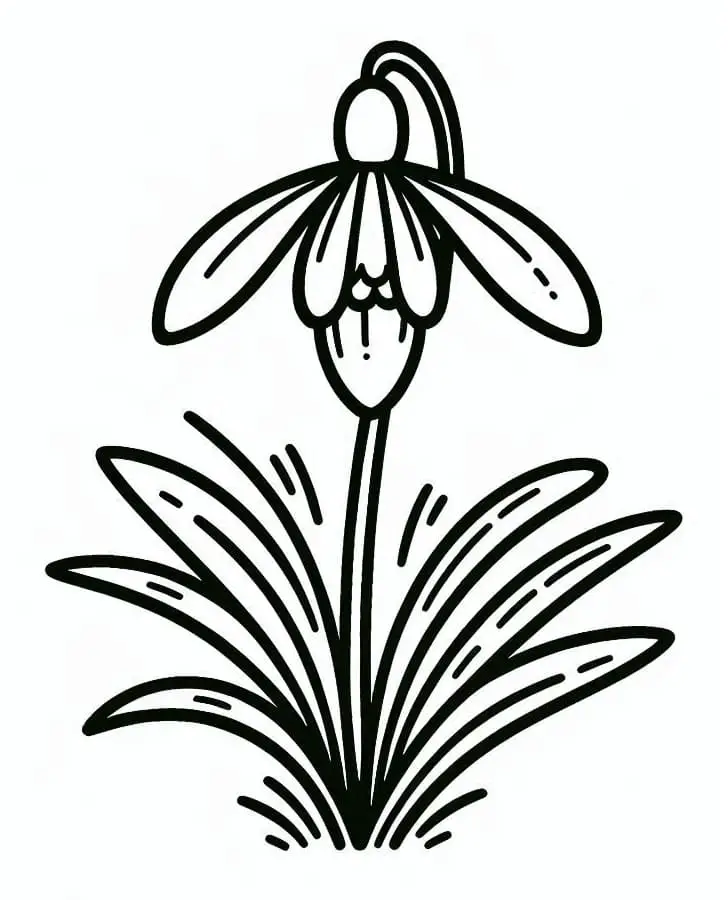 Fise de colorat cu Flori Ghiocei de colorat p07
