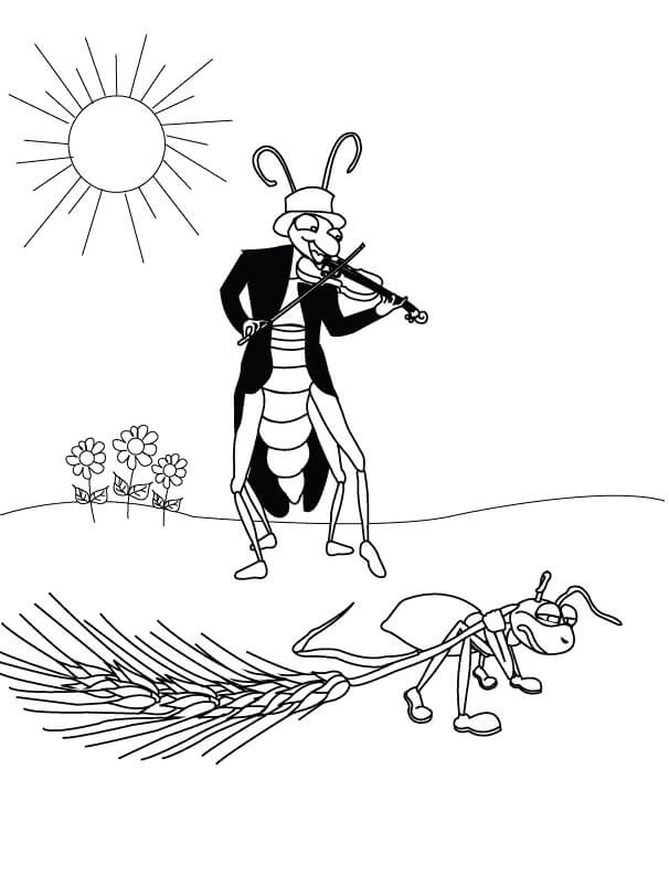 Fise de colorat cu Greierele si Furnica de colorat p07