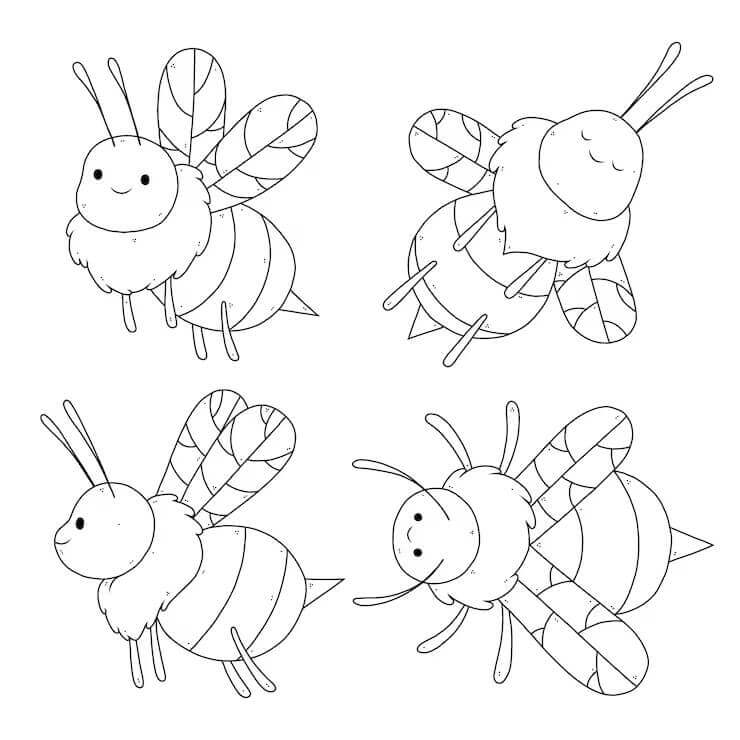 Fise de colorat cu Insecte de colorat p02