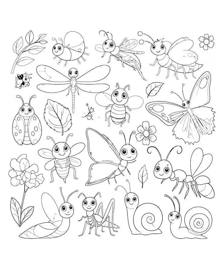 Fise de colorat cu Insecte de colorat p05