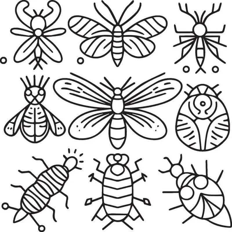 Fise de colorat cu Insecte de colorat p06