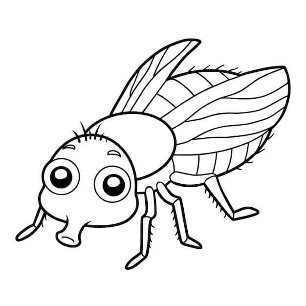 Fise de colorat cu Insecte de colorat p07