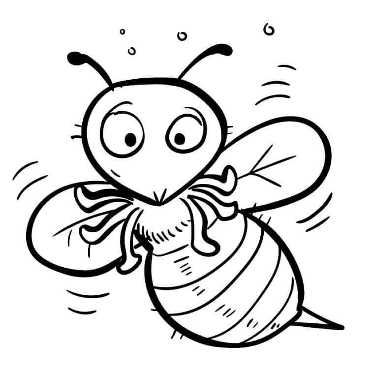 Fise de colorat cu Insecte de colorat p08