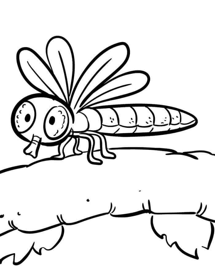 Fise de colorat cu Insecte de colorat p10