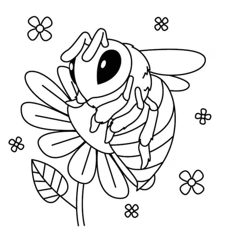 Fise de colorat cu Insecte de colorat p12