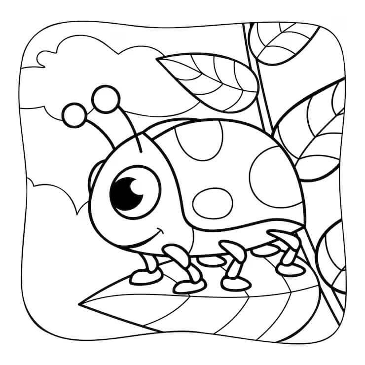 Fise de colorat cu Insecte de colorat p13