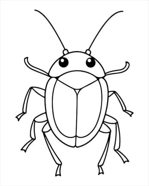 Fise de colorat cu Insecte de colorat p14