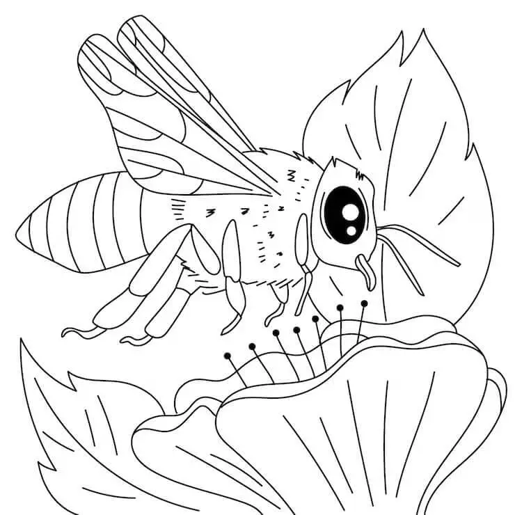 Fise de colorat cu Insecte de colorat p15
