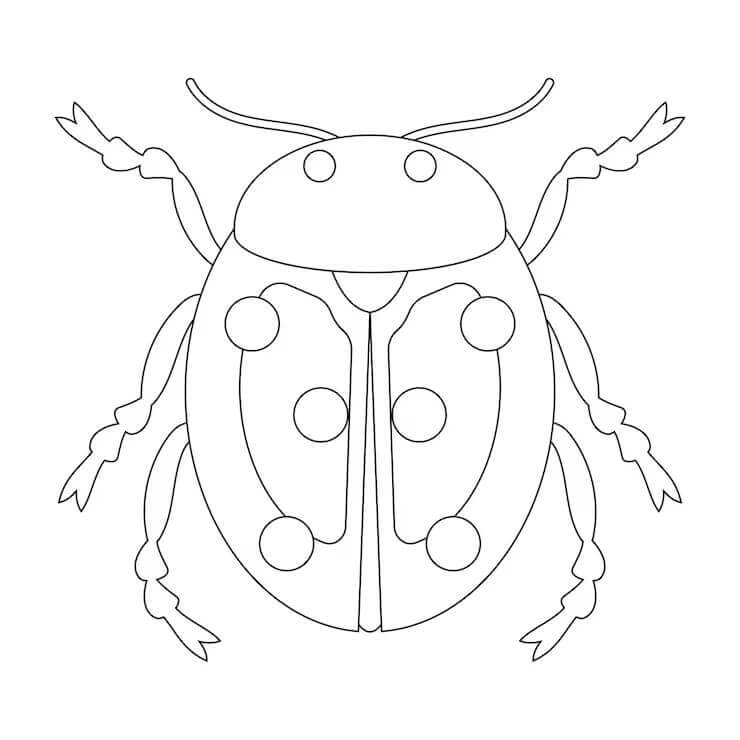 Fise de colorat cu Insecte de colorat p17