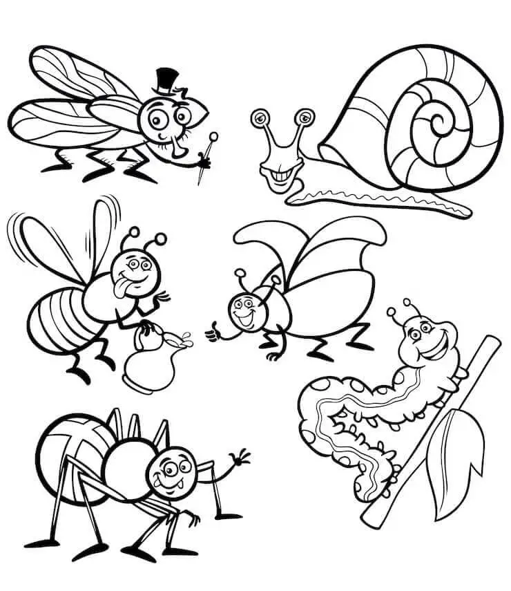 Fise de colorat cu Insecte de colorat p24