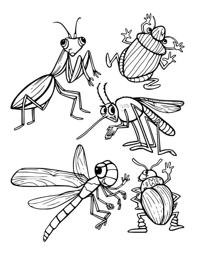 Fise de colorat cu Insecte de colorat p26
