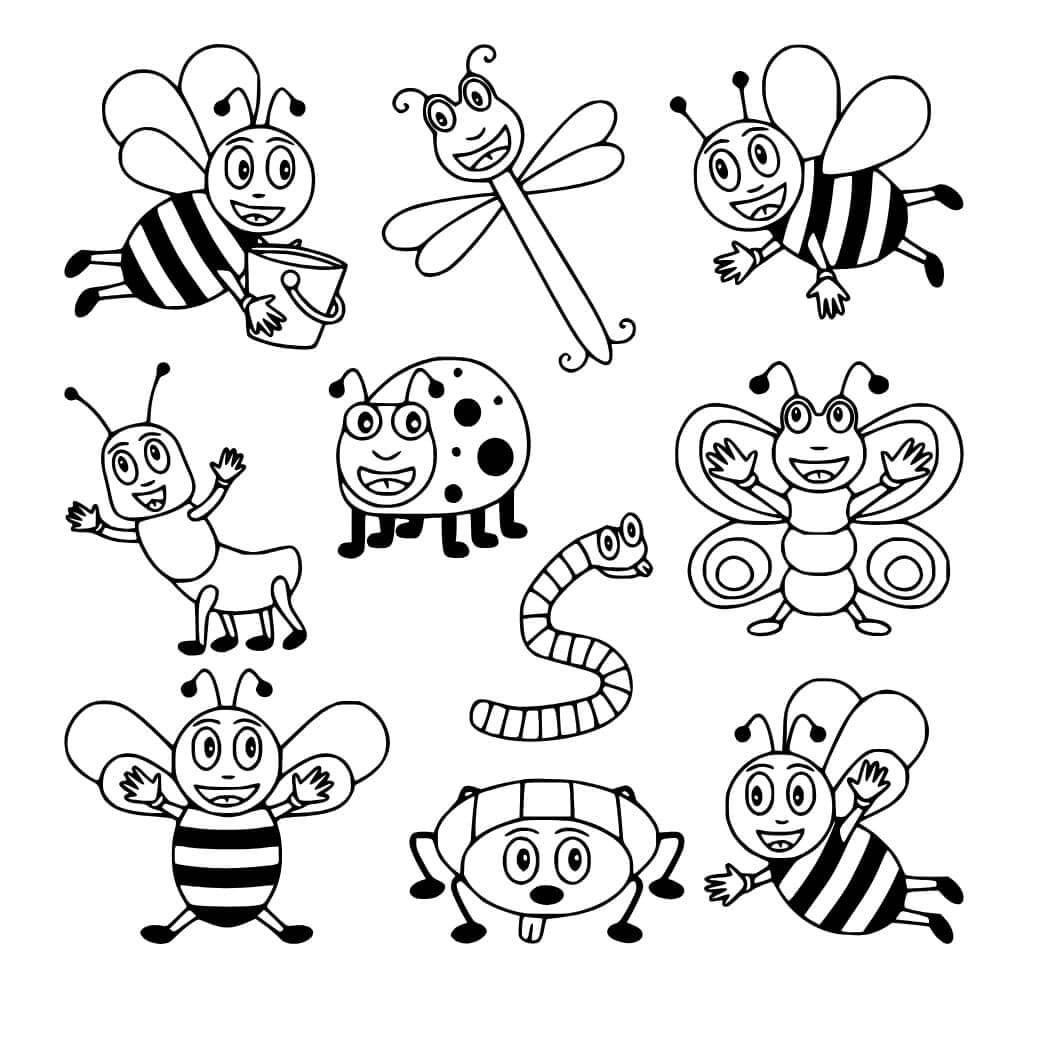 Fise de colorat cu Insecte de colorat p27