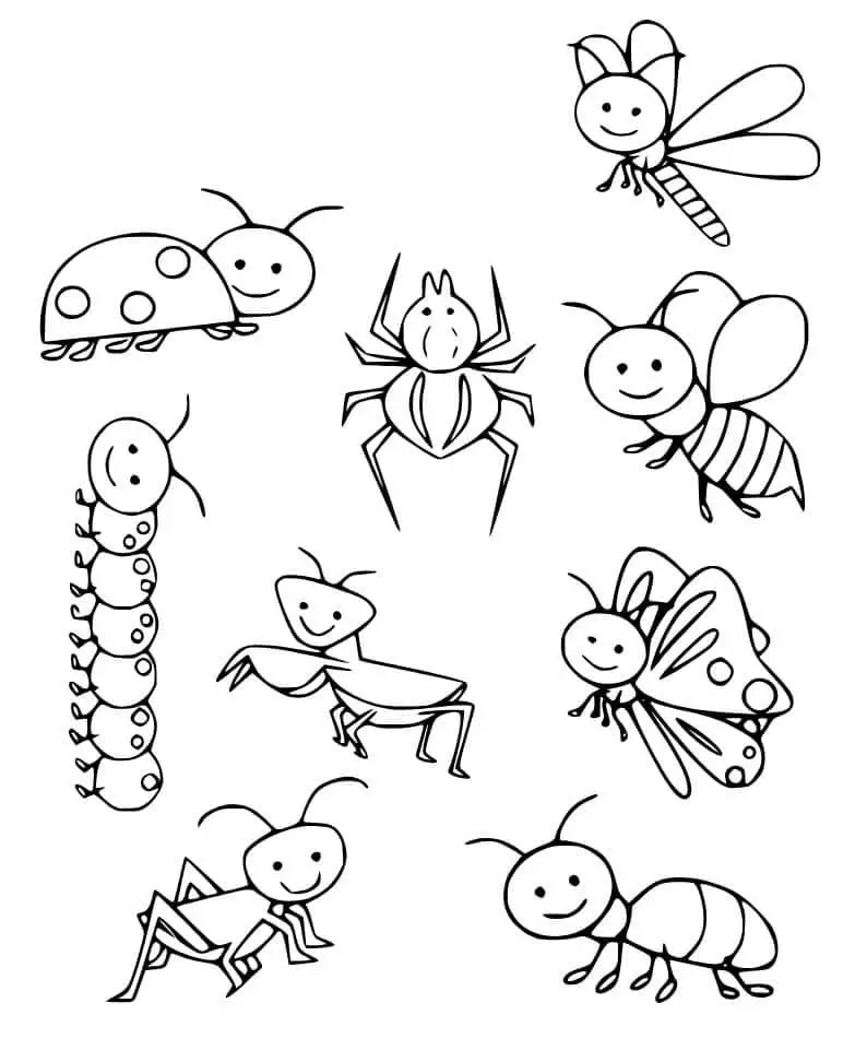 Fise de colorat cu Insecte de colorat p31