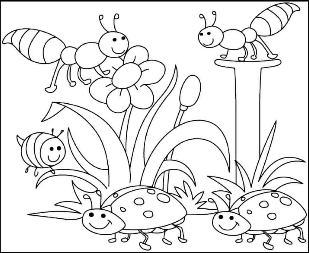 Fise de colorat cu Insecte de colorat p33