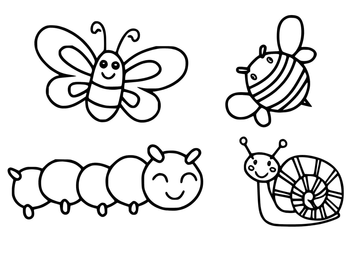 Fise de colorat cu Insecte de colorat p35