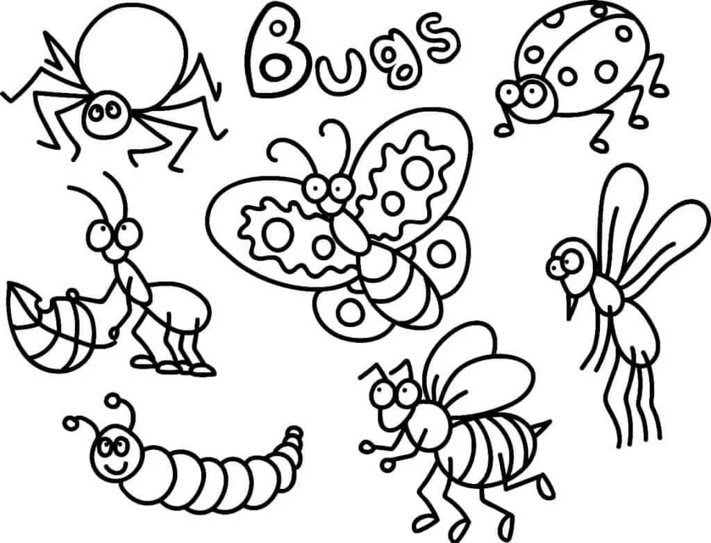 Fise de colorat cu Insecte de colorat p40