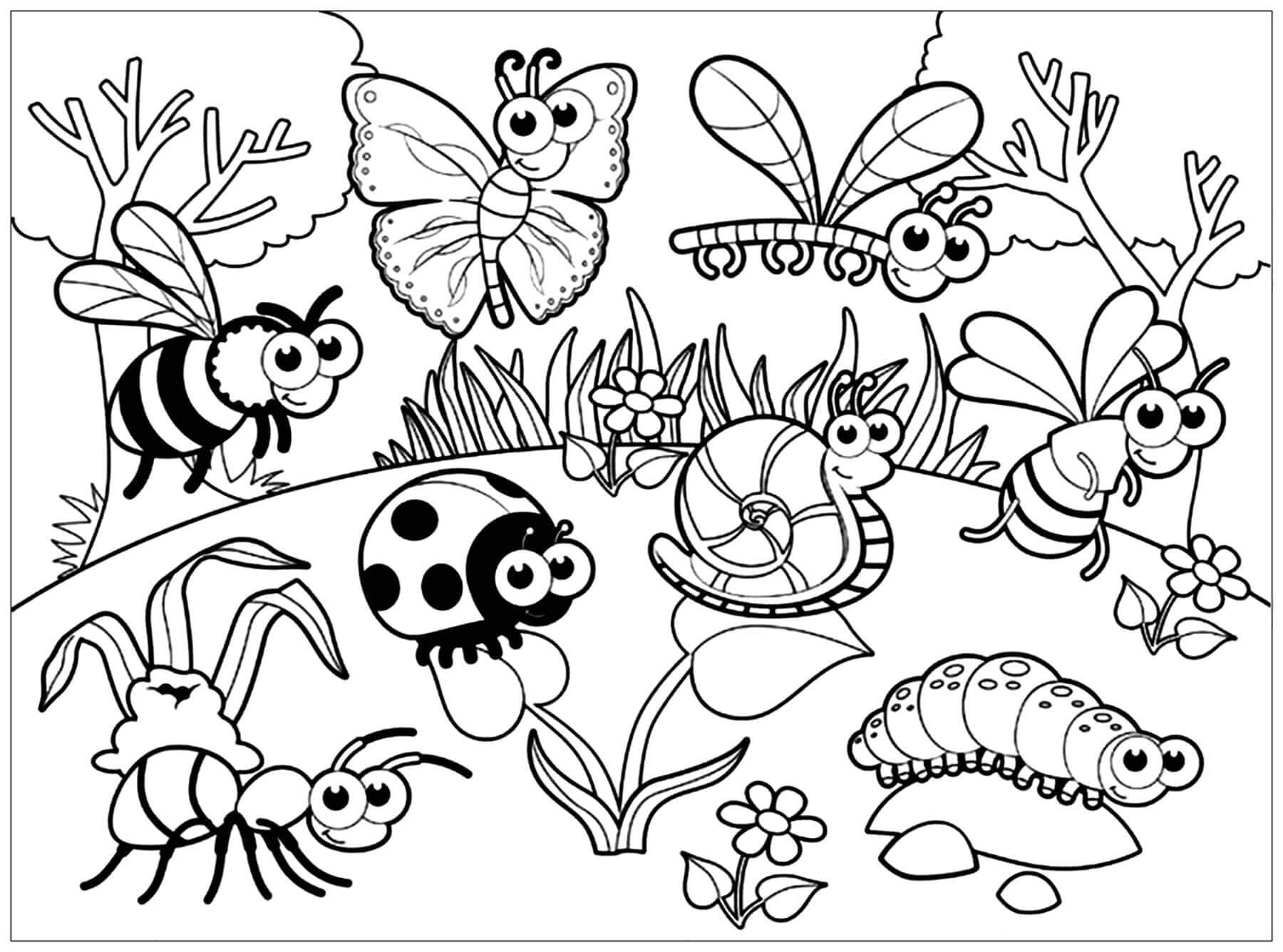 Fise de colorat cu Insecte de colorat p41