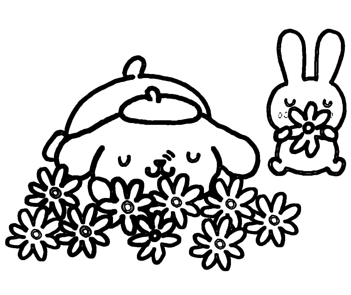 Fise de colorat cu Pompompurin de colorat p05