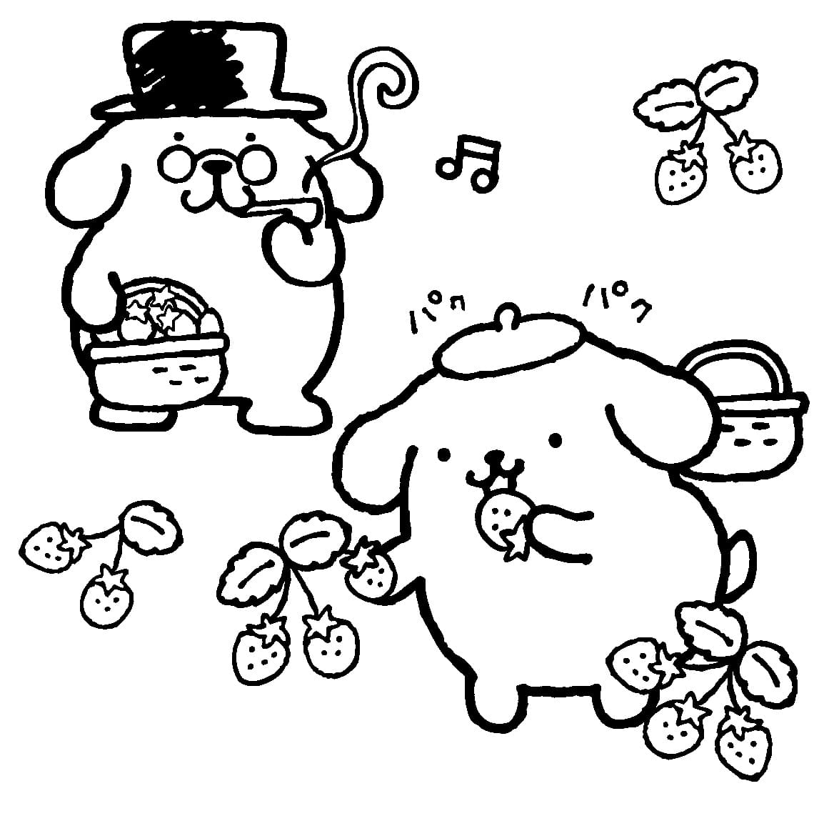 Fise de colorat cu Pompompurin de colorat p08