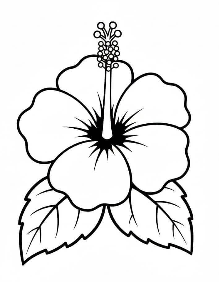 Fise de colorat cu Flori Hibiscus de colorat p01