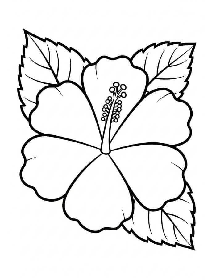Fise de colorat cu Flori Hibiscus de colorat p02