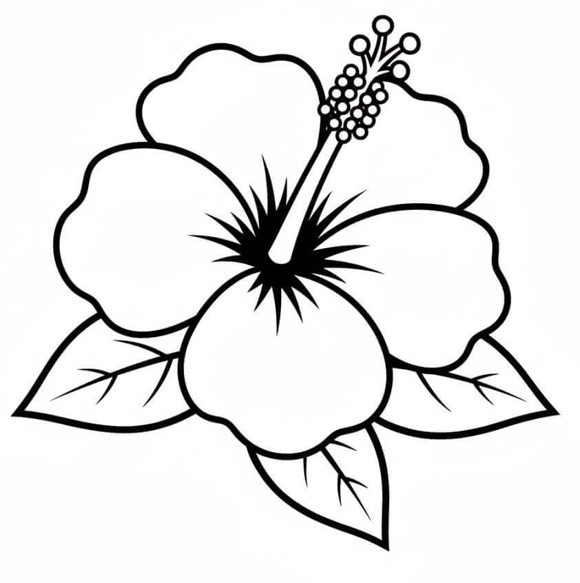 Fise de colorat cu Flori Hibiscus de colorat p03
