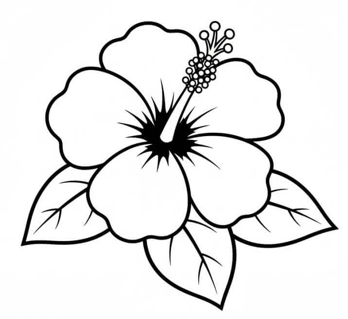 Fise de colorat cu Flori Hibiscus de colorat p05