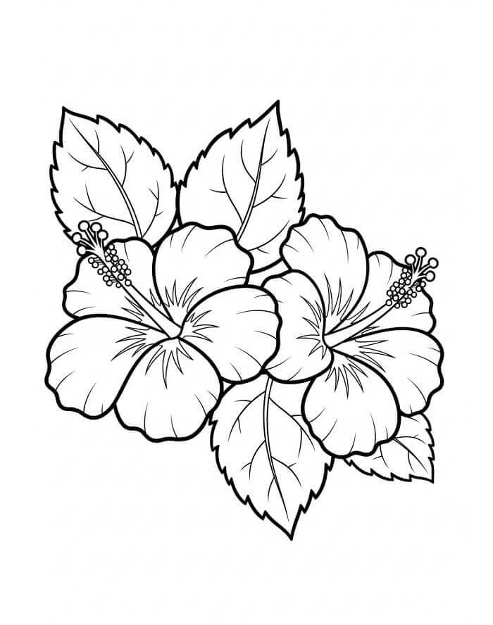 Fise de colorat cu Flori Hibiscus de colorat p06