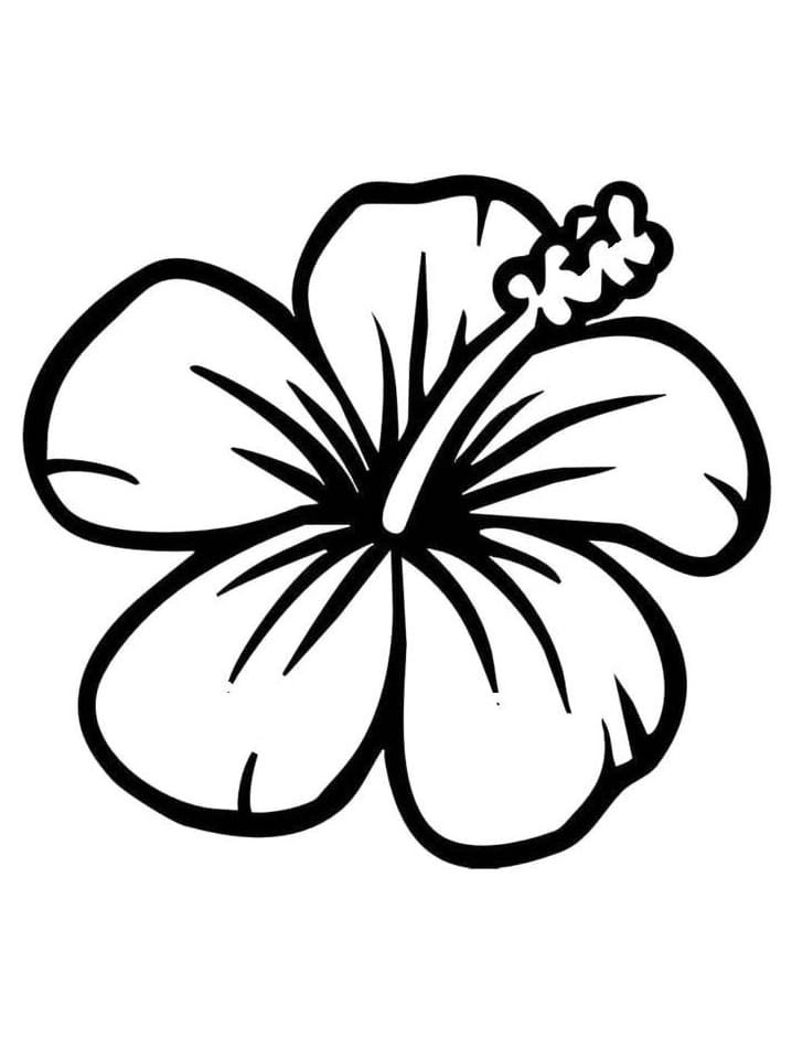 Fise de colorat cu Flori Hibiscus de colorat p22
