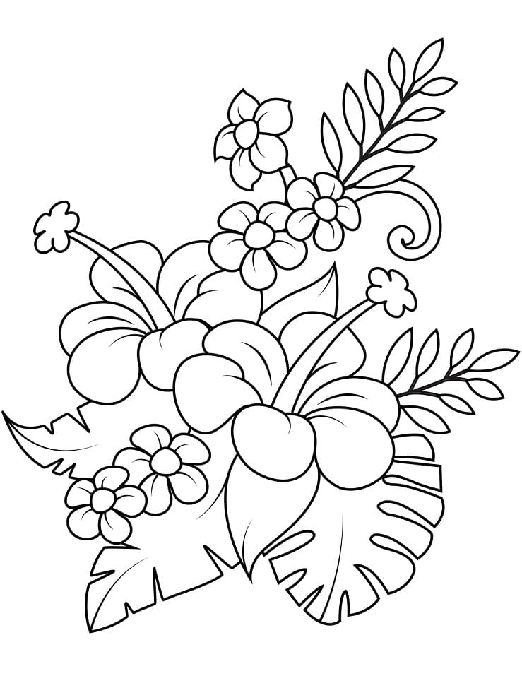 Fise de colorat cu Flori Hibiscus de colorat p24