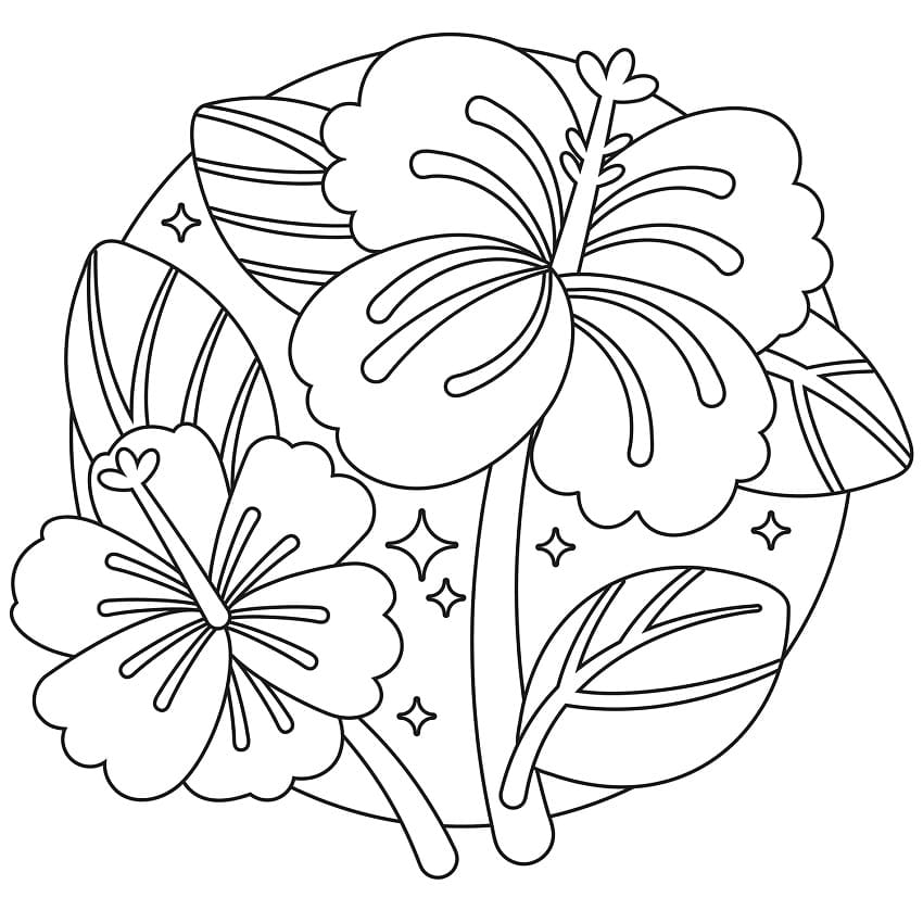 Fise de colorat cu Flori Hibiscus de colorat p25