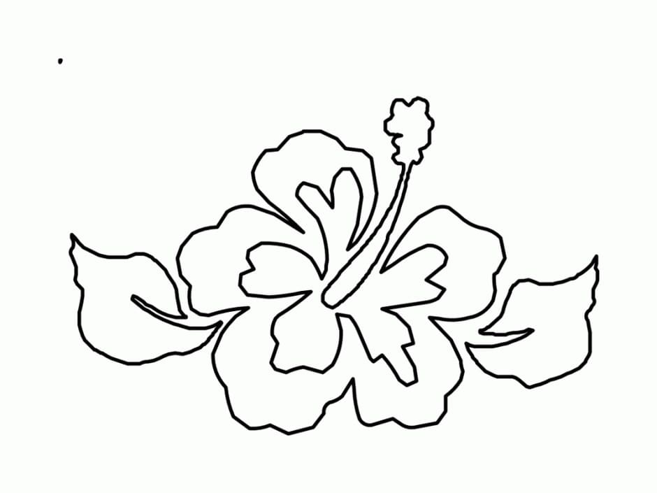 Fise de colorat cu Flori Hibiscus de colorat p29