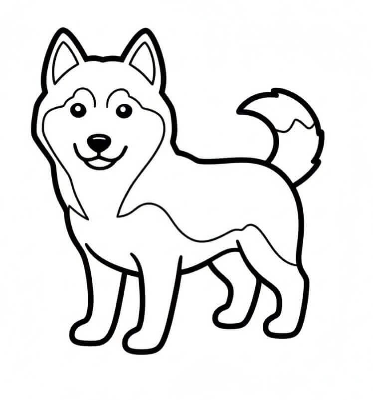 Planse de colorat cu Husky