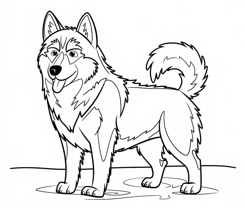 Fise de colorat cu Husky de colorat p16