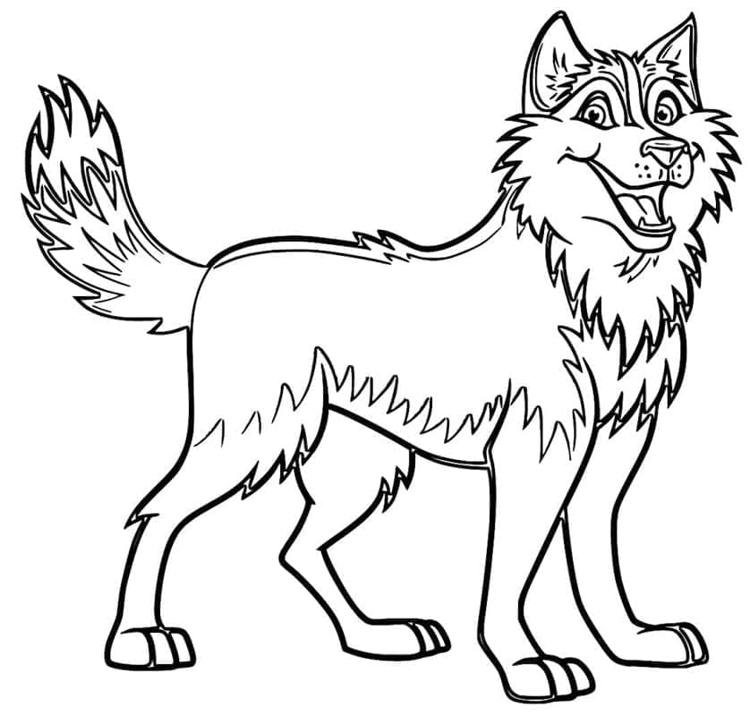 Fise de colorat cu Husky de colorat p20