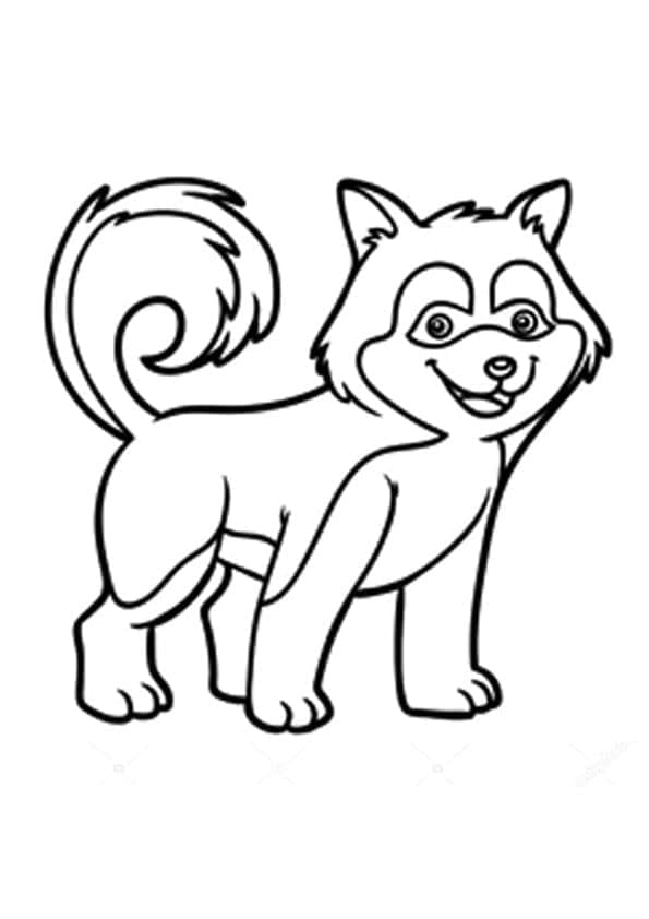 Fise de colorat cu Husky de colorat p21