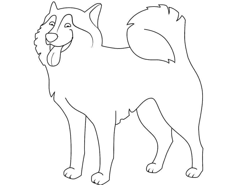 Fise de colorat cu Husky de colorat p23