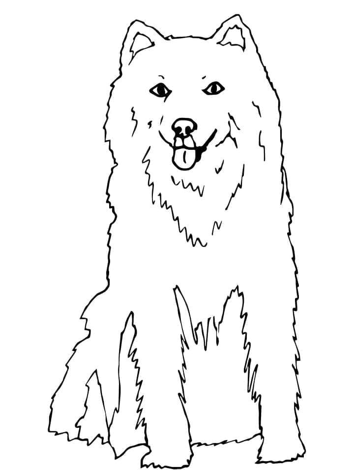 Fise de colorat cu Husky de colorat p26