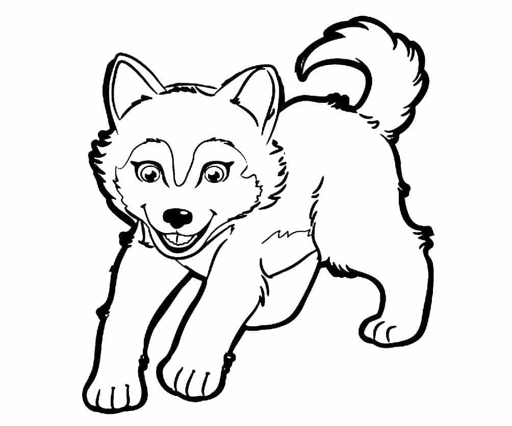 Fise de colorat cu Husky de colorat p34