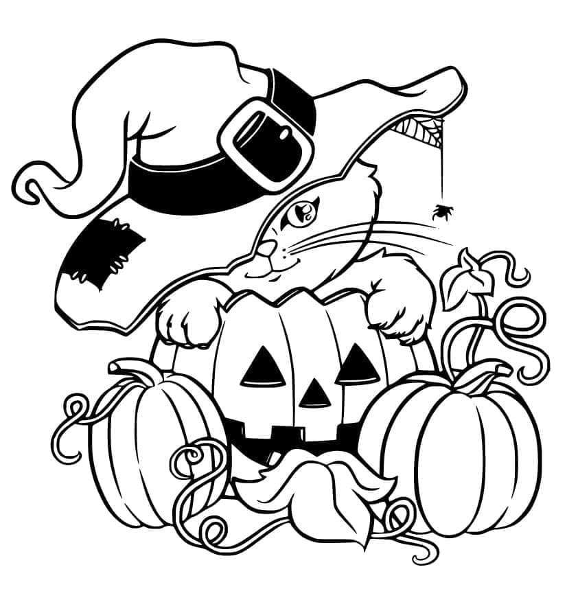 Fise de colorat cu Pisici de Halloween de colorat p20