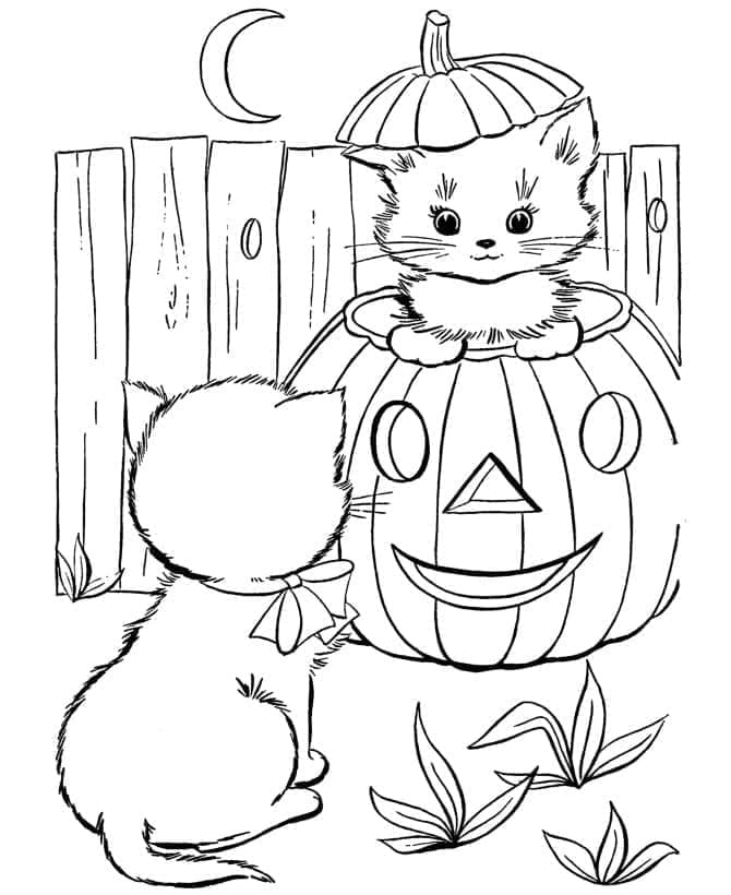 Fise de colorat cu Pisici de Halloween de colorat p35